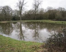 Image result for Apple Hill Pond