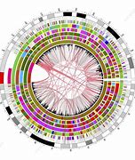 Image result for Mapping the Human Genome