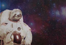 Image result for Sloth Space Rocket Launch