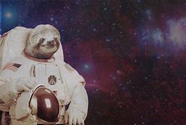 Image result for Space Sloth Black Background