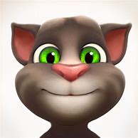 Image result for Cat Tolking App