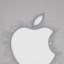 Image result for iPhone 14 Wallpaper Grey