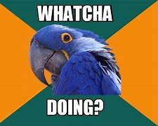 Image result for Whatcha Do in Meme