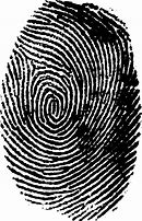Image result for Fingerprint PNG Transparent