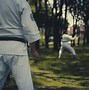 Image result for Isshin Ryu Karate