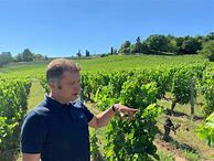 Image result for Clos Baies