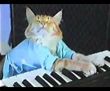 Image result for Throw Piano Meme