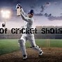 Image result for Cricket Lines Drawing Play a Sweep or Cut Shots