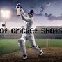 Image result for Shot Cricket Text