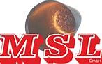 Image result for MSL 3 Symbol
