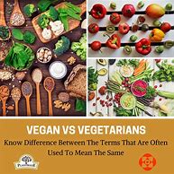 Image result for Is There a Difference Between Vegan and Vegetarian