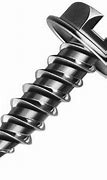 Image result for iPhone 5S Matt Screw