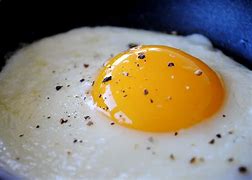 Image result for Cook Egg