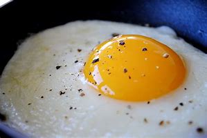 Image result for Image of Fired Egg