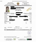 Image result for Dubai Work Visa Agreement