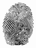 Image result for White Fingerprint PNG