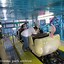 Image result for Crazy Mouse Playland