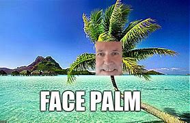 Image result for Palm Tree Meme