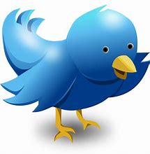 Image result for Twitter Bird Graphic