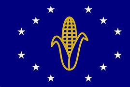 Image result for Midwest Flag