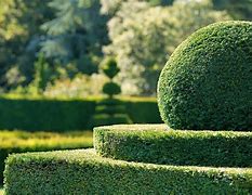 Image result for Hedge HD