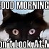Image result for Pinky and the Brain Good Morning Meme
