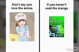 Image result for Cells at Work Memes