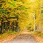 Image result for Fall in Maine