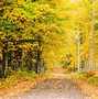 Image result for Autumn in Maine