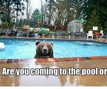 Image result for Analytical Thinking Drowning in Pool Meme