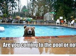 Image result for Pool Meme Thingy