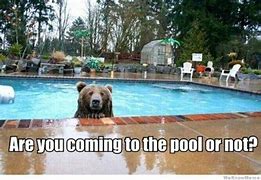 Image result for Yellow Pool Meme