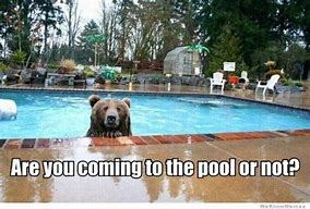 Image result for Pouring Water in Pool Meme