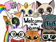 Image result for Welcome to the Internet Please Follow Me