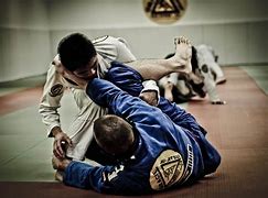 Image result for Brazilian Jujitsu Moves