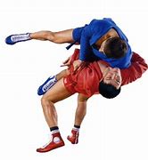 Image result for Robin Hyslop Dumfries Sambo Martial Art