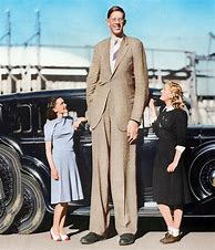 Image result for Tallest Man Ever Recorded