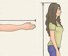 Image result for How Tall Is 2 Meters in Feet