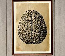 Image result for Macabre Brain Drawing