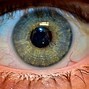 Image result for Retina Iris