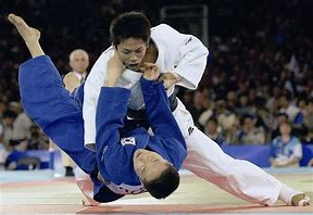 Image result for Judo Ukemi