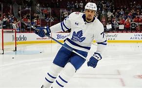 Image result for Ryan Reaves Toronto Maple Leafs