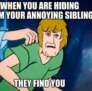 Image result for Sibling House Meme