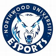 Image result for Northwood Blue eSports Logo