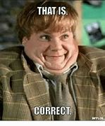 Image result for Chris Farley That Is Correct