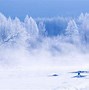 Image result for Winter Scenes 4K Wallpaper