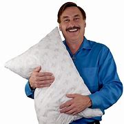 Image result for My Pillow Owner