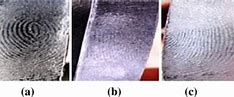 Image result for Plastic Fingerprints
