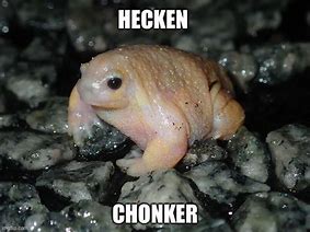 Image result for Chonker Frog