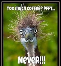 Image result for Crazy Coffee Meme